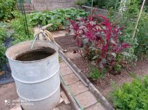 amarant_20210721_203242