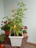 IMG_20210722_175907