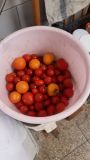 IMG-20210803-WA0007