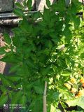 IMG_20210812_091934