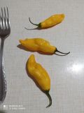 IMG_20210813_215601