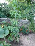 IMG_20210815_195634