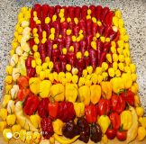 IMG_20210903_171847