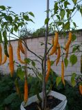 IMG_20210922_182431