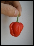 Habanero Red