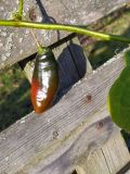 IMG_20211107_102246