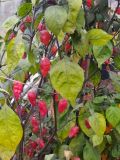 IMG_20211121_075112