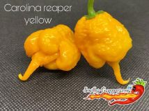 Carolina Reaper Yellow