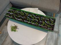 20220129_burina2