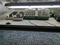IMG_20220208_194530