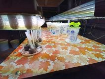 IMG_20220212_152130_893