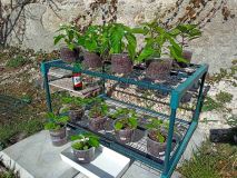 20220327_outdoor2