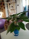IMG_20220328_181351