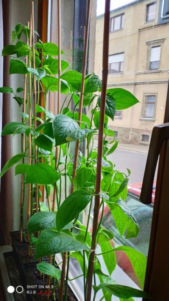 IMG_20220407_182932