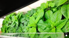 IMG_20220401_162828