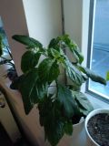 IMG_20220412_195455