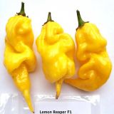 Lemon_Reaper_3