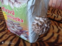 IMG_20220204_122234