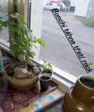 IMG_20220606_203124_531