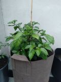 IMG_20220609_163907