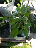IMG_20220612_164925