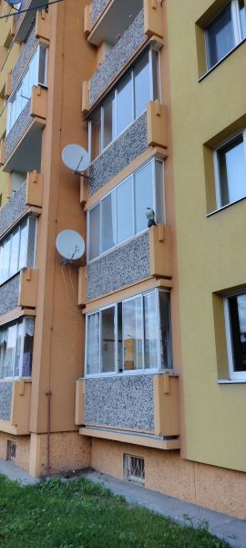 Balkon 1NP (se sokolem na okraji)