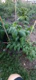 IMG_20220626_212331