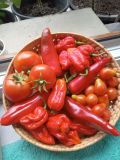 IMG_20220823_163845_679