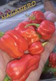 IMG_20220907_182920_953