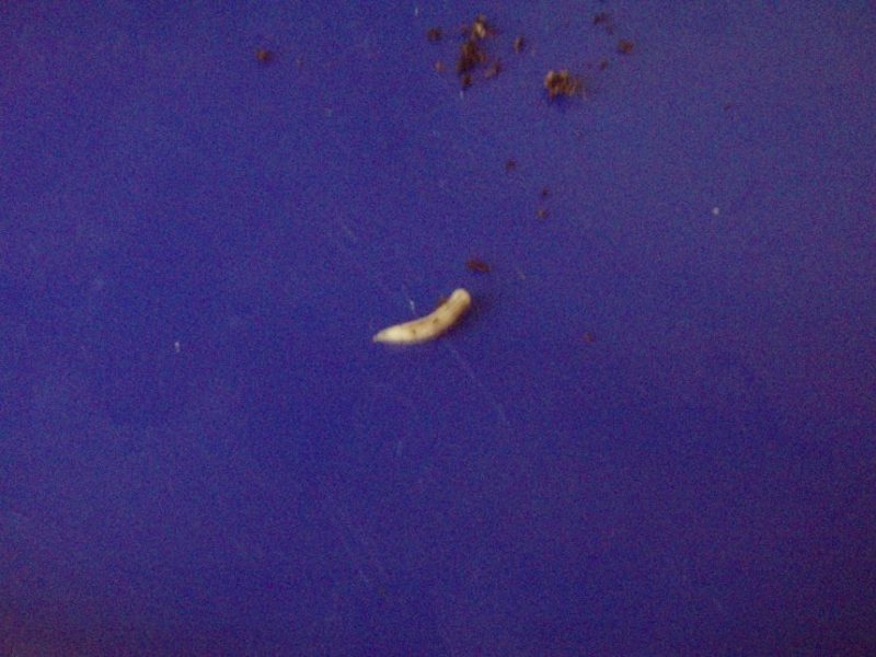 P5051017