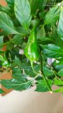 IMG_20230114_095106