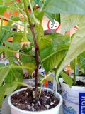 IMG_20230505_093817_953