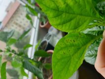 20230508_122854[1]