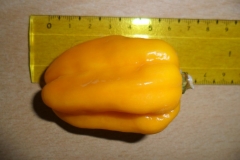 Habanero