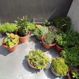 IMG_20230706_123612