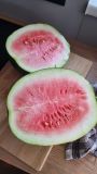 IMG-20230725-WA0002