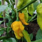 IMG_20230818_160946