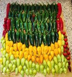 IMG_20230812_082506