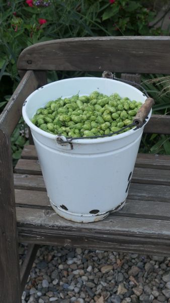 P1100126