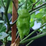 IMG_20230912_190240