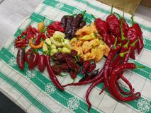 Zber_20230929_2