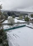 IMG_7932