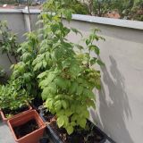 IMG_20240614_110920