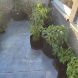 IMG_20240623_194157