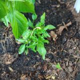 IMG_20240623_194128