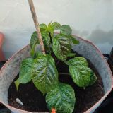 IMG_20240623_194032