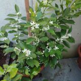 IMG_20240623_194023