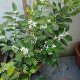 IMG_20240623_194023_1