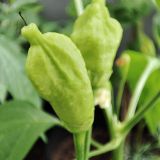 IMG_20240630_125049