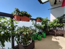 IMG_20240714_100548